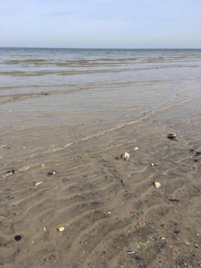 Apartment Sylt-traum Meerblick Westerland